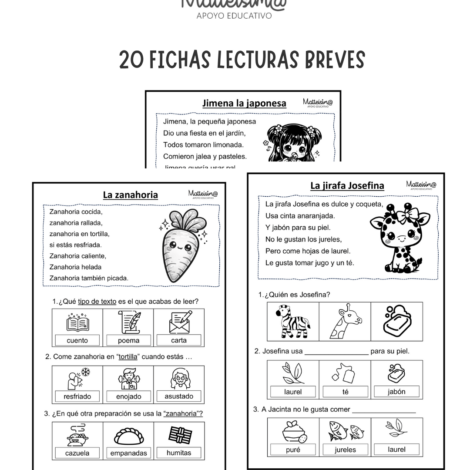 APOYO VISUAL MAYUSCULAS